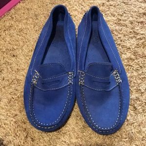 Royal Blue Mercanti Fiorentini Loafers ✨